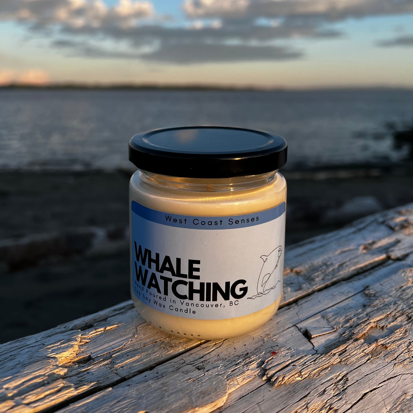 Whale Watching Candle